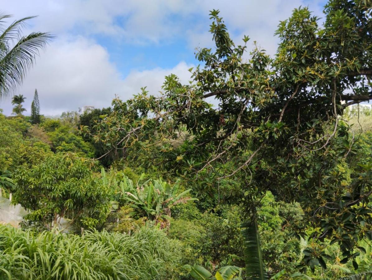 Apartamento Cercado Por Natureza E Diversao Maceió Exterior foto
